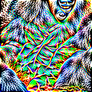 gorilla, Gorilla gorilla