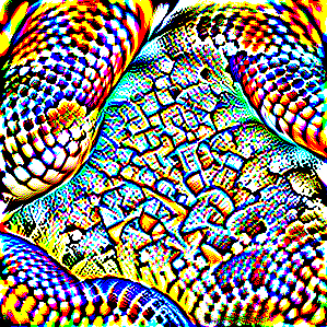 king snake, kingsnake